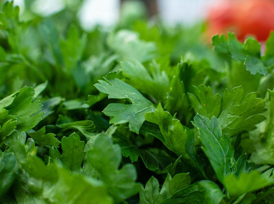 we have packaging for parsley