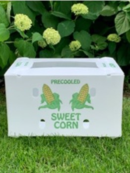 sweet corn in corrugated plastic box