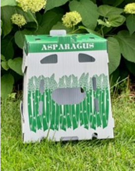 asparagus in corrugated plastic box